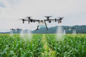 Dronesil hizmetler dron ile ilaçlama