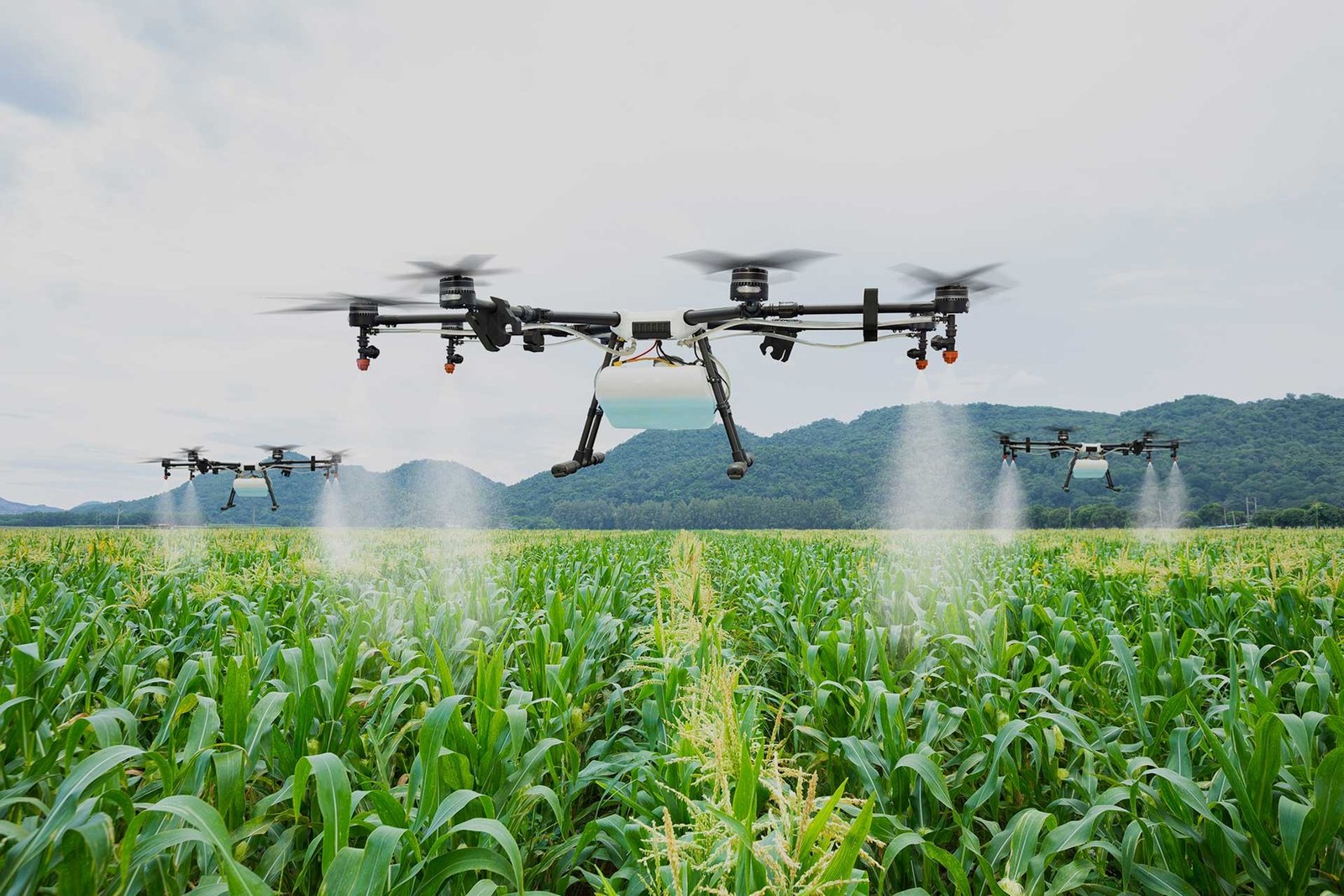 Dronesil hizmetler dron ile ilaçlama